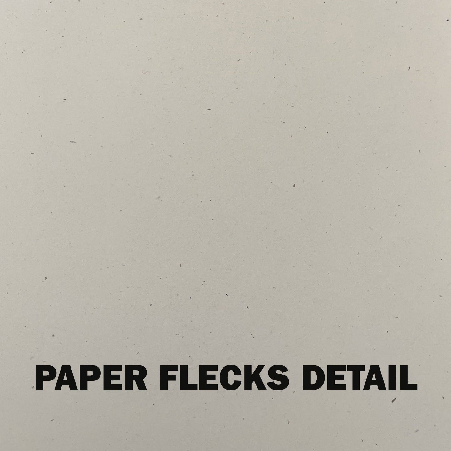 Please Don't Say DAMMMN Riso Print