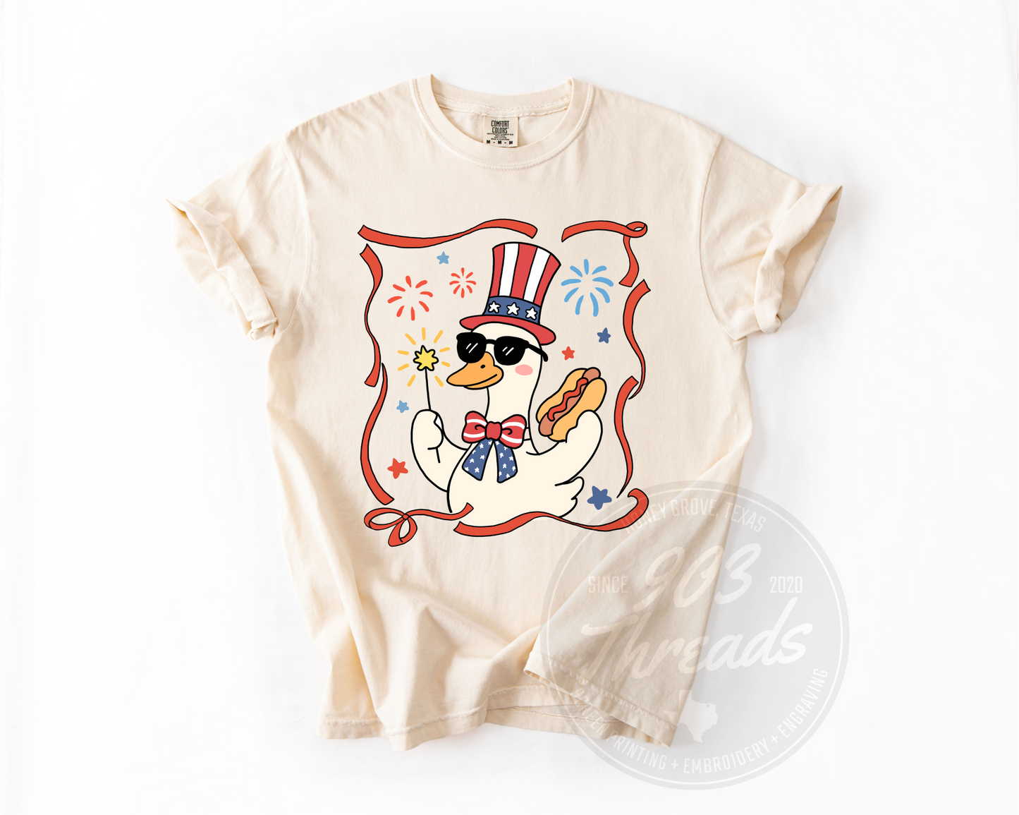 America's Silliest Goose