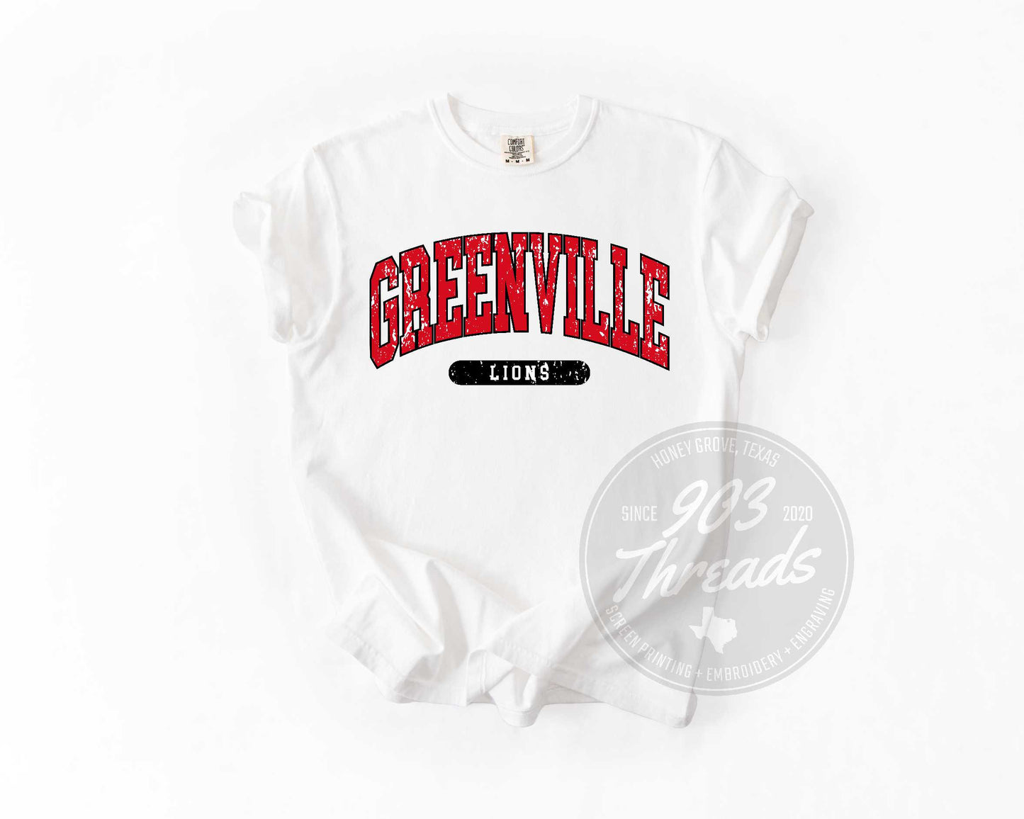 True Colors Greenville Lions