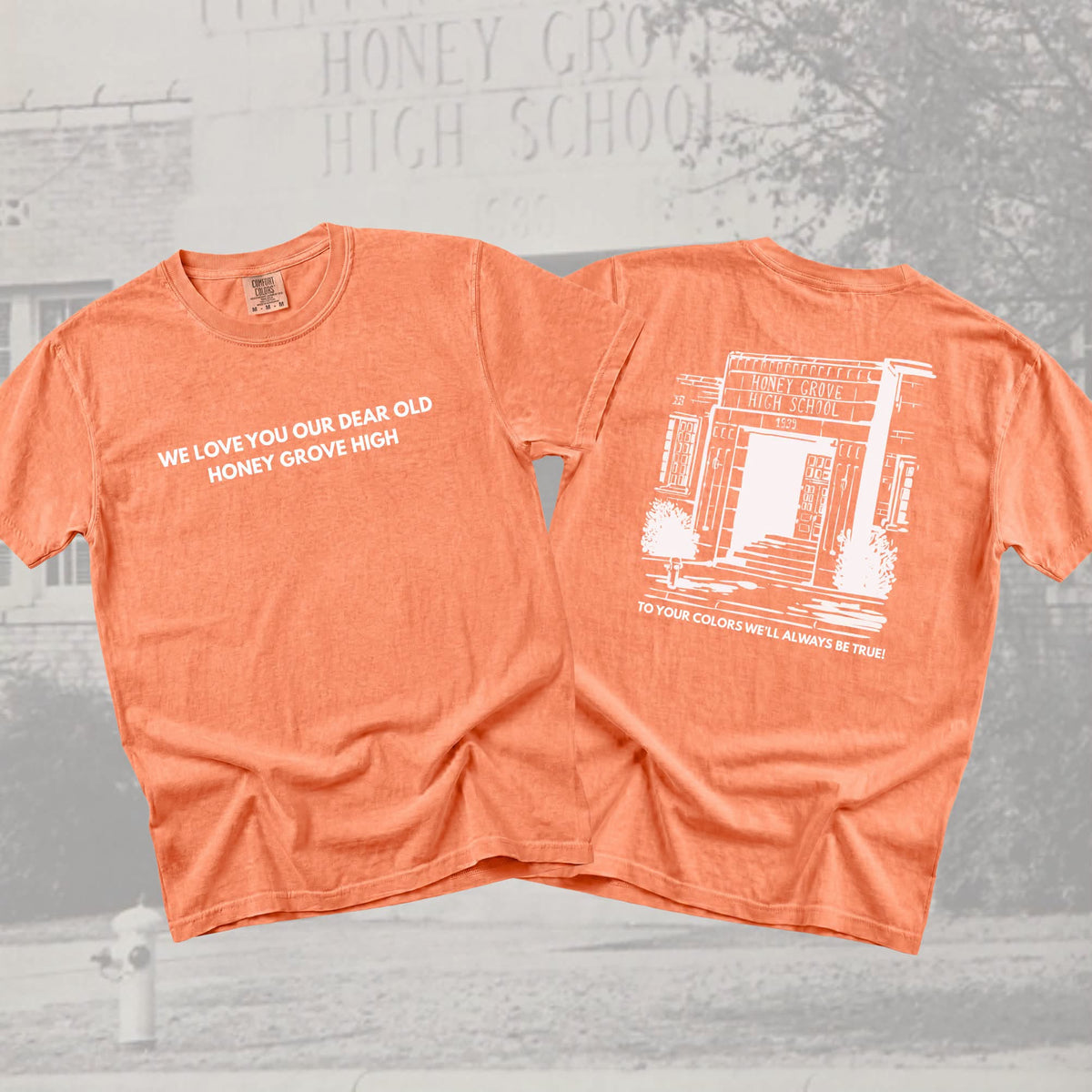 Old Honey Grove High