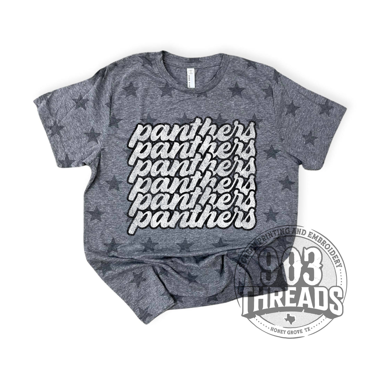 Panthers Retro Washed School Spirit Tee