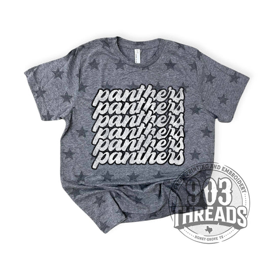 Panthers Retro Washed School Spirit Tee