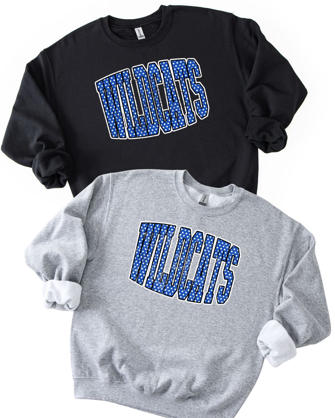 Rains Wildcats -- The Pep Rally Collection
