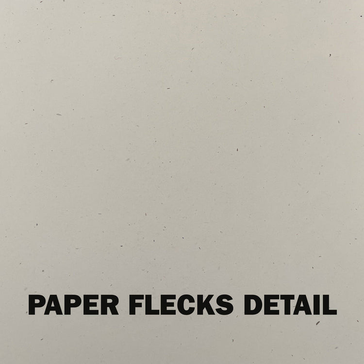 Please Don't Say DAMMMN Riso Print
