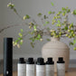 Waterless diffuser oil | 6oz refill: Boujee