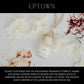 Everyday Scents Car Diffuser: UPTOWN *NEW*