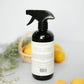 MULTI-SURFACE CLEANER