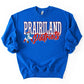 Prairiland Patriots -- Touchdown Season