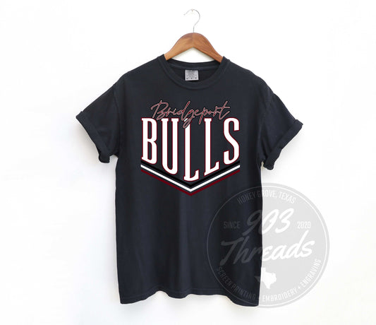 Bridgeport Bulls - Smells Like Team Spirit