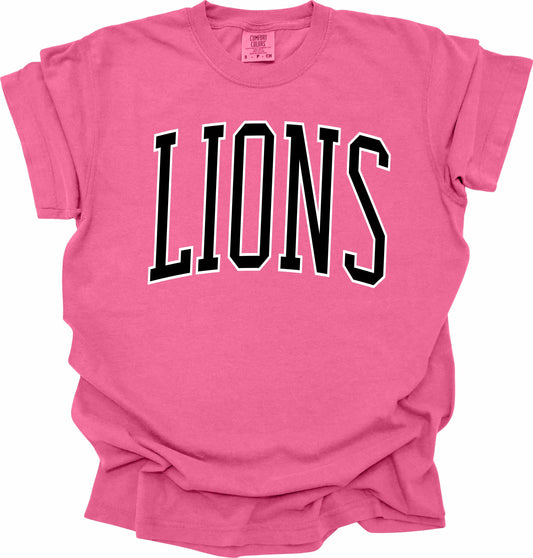 Lions -- Pink Out