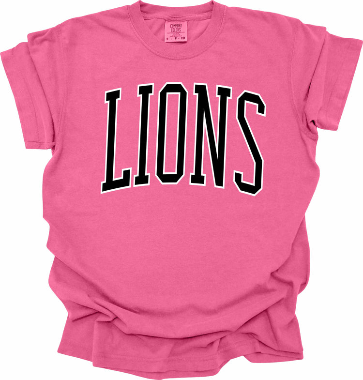 Lions -- Pink Out