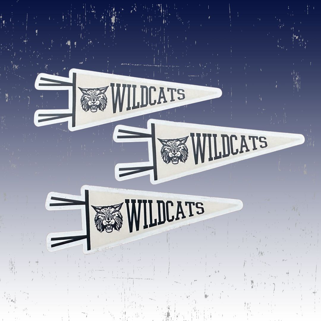 Wildcats Pennant Magnet