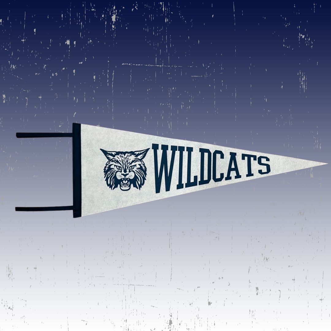 Wildcats Pennant Vintage Felt Flag