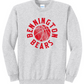 Bennington Bears Retro Rebound