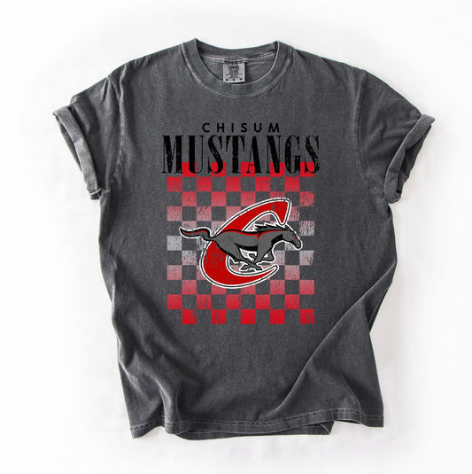 Chisum Mustangs -- Spirit Tour