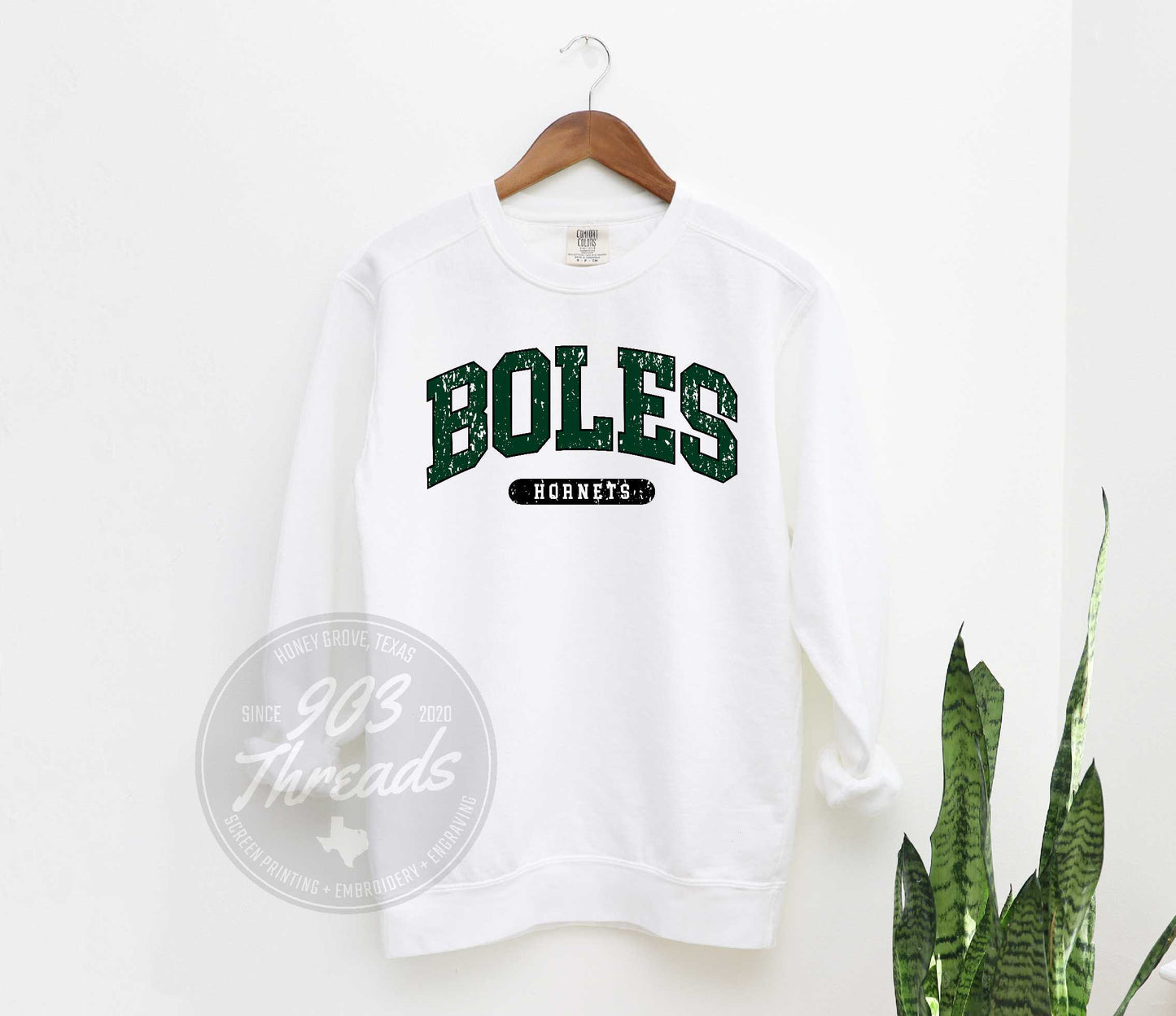 True Colors Sweatshirt Boles Hornets