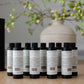 Waterless diffuser oil | 6oz refill: Boujee