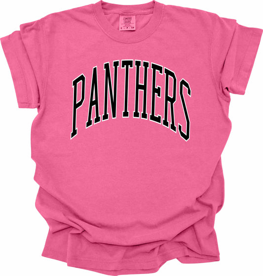 Panthers -- Pink Out