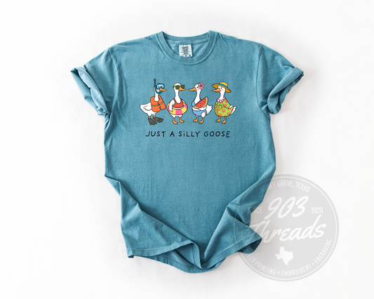 Silly Summer Goose