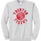 Trenton Tigers Retro Rebound