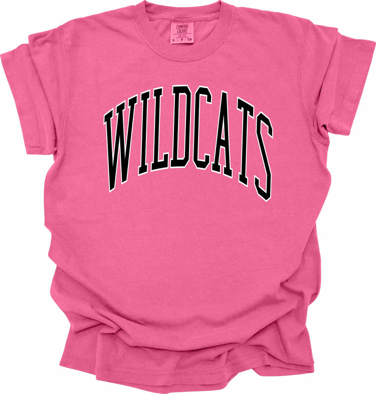 Wildcats -- Pink Out